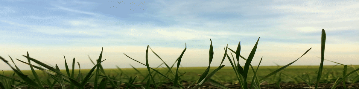 ezgif.com-video-to-gif (9)